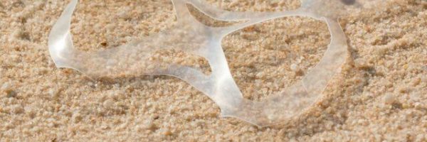 2021_01_29_BeachTech_Aufnahmegut_Plastikmuell-640x640