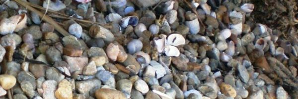 front top right-1461x1461-640x640